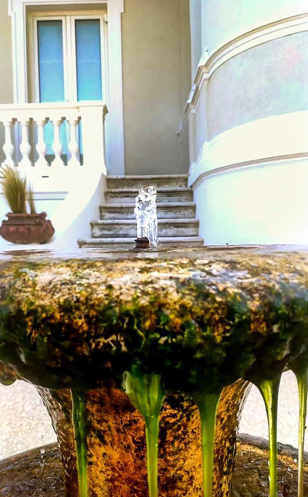 Villa La Torretta Luxury B&B - Adults Only - 리미니 외부 사진